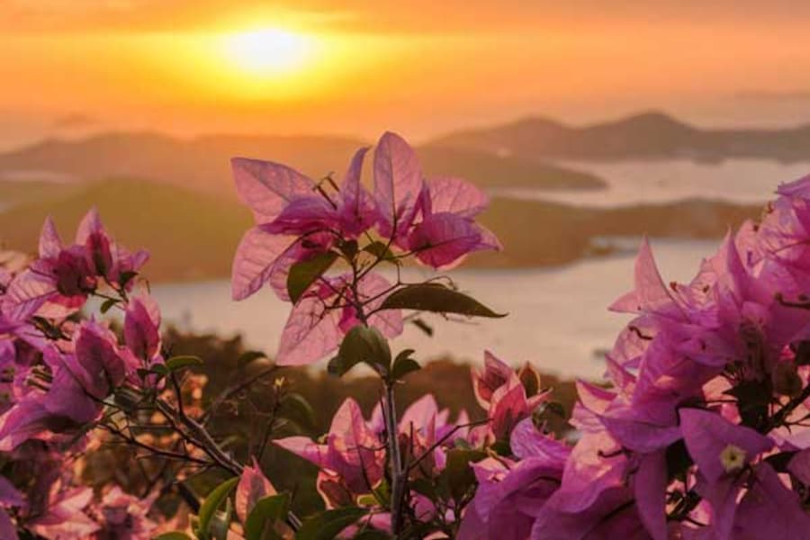 Top resorts in St Thomas