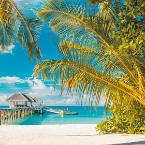 crociere norwegian cruise line Caribbean Cruises