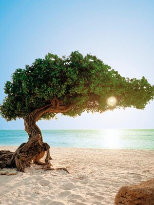 Save on Aruba package deals.