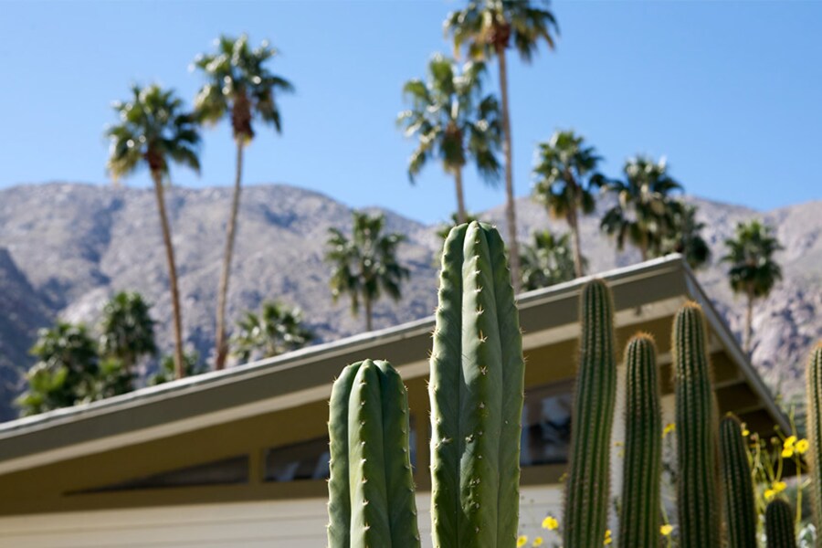 Resorts in Palm Springs