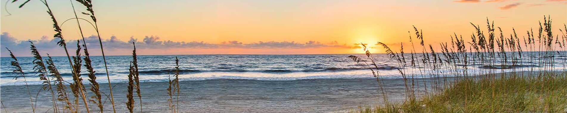 Hotels with an ocean view in Amelia Island