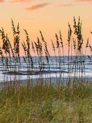 Hotels with an ocean view in Amelia Island