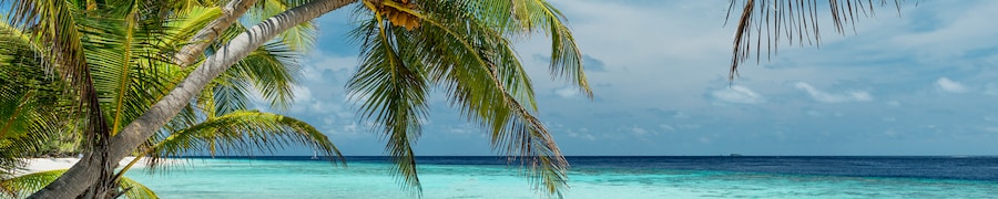 Beach hotels