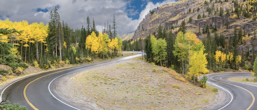 google travel car rental