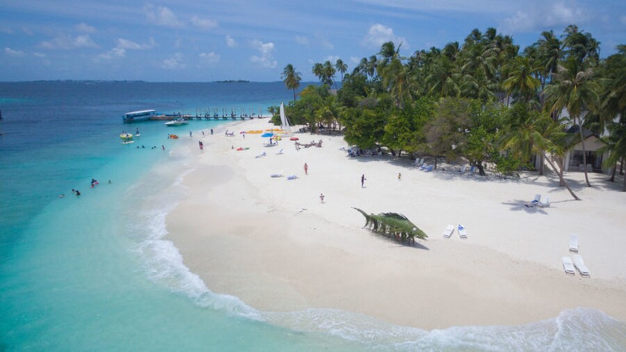 Malahini Kuda Bandos