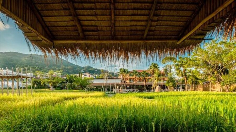 NaiNa Resort & Spa