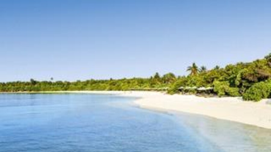 The Barefoot Eco Hotel