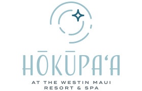 Logo placeholder