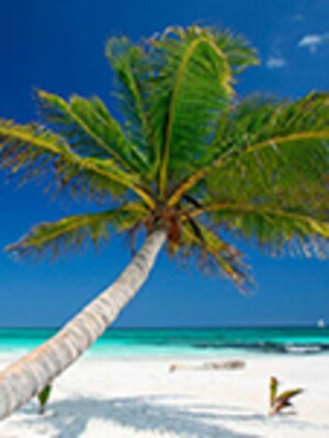 Save on Cancun vacations