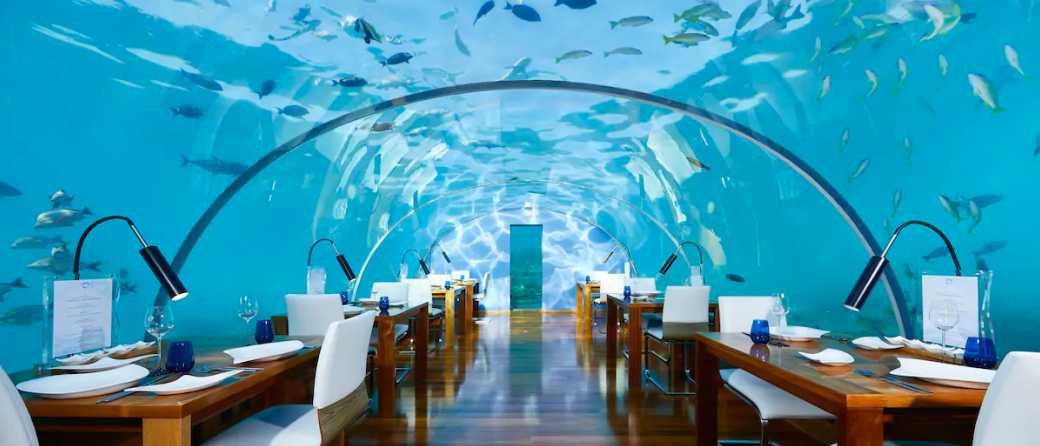 underwater hotel room with view of underwater activity