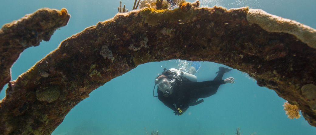 suba diver underwater