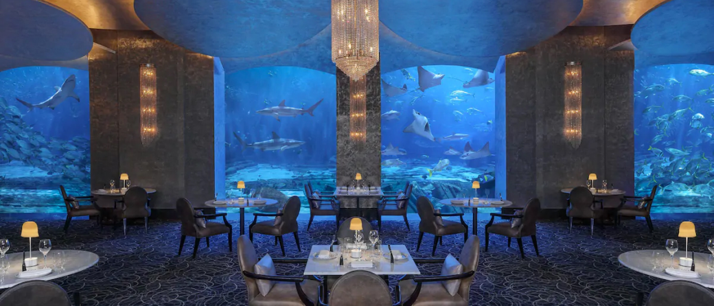 underwater hotel room with view of underwater activity