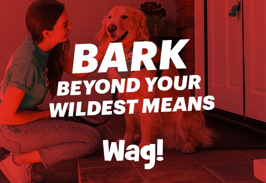 Bark Beyond Your Wildest Means - Wag!