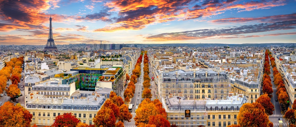 Aerial view of Paris, France in the Fall. Trees with orange colored leaves fill the sidewalks. The Eiffel Tower looms tall in the distance.