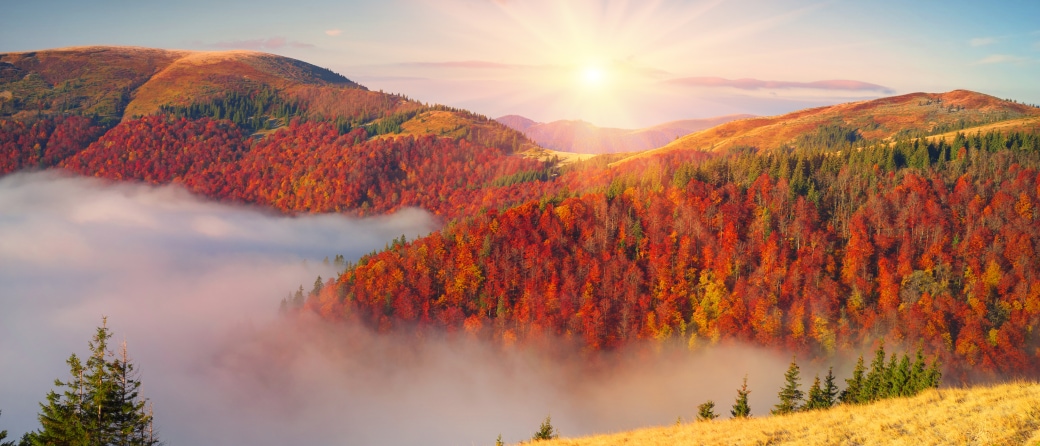 Aerial view of the Great Smoky Mountains during the Fall, with trees covered in orange colored leaves. There is thick fog filling the valley.
