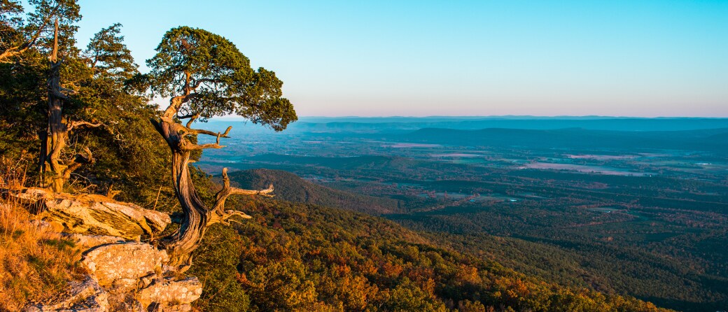 View from a cliff in the Ozark mountains. There is an old tree growing out of the side of the cliff, which overlooks a large valley and vast sky.