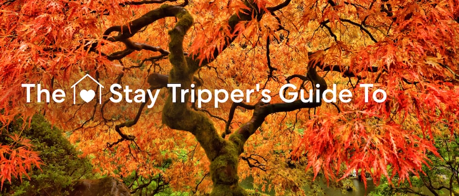 Stay-tripper’s guide to U.S. leaf peeping article page