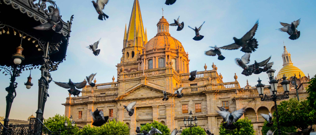 Ground view of the Plaza de Armas of Guadalajara, Mexico. Black birds are soaring up from the ground.