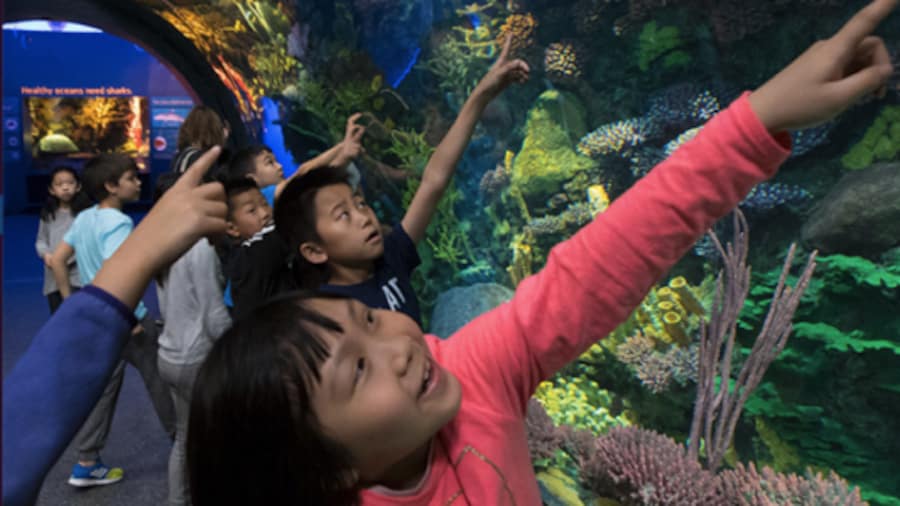 Why zoos and aquariums are beneficial