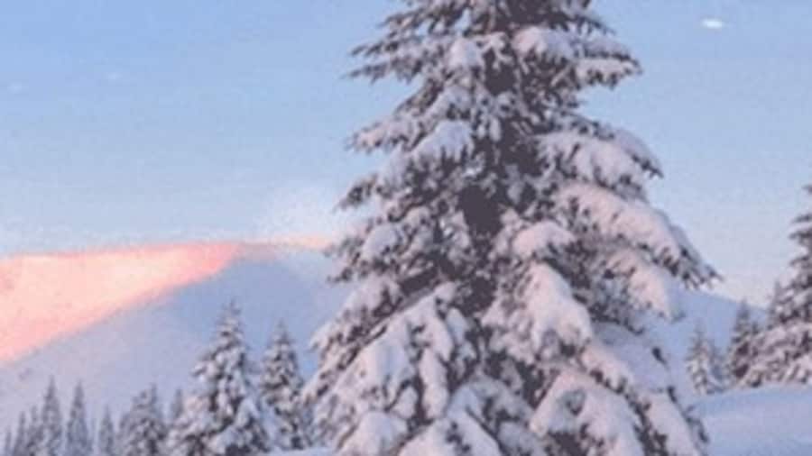 lento ja majoitus lappi