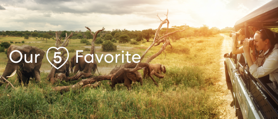 A safari truck has pulled alongside a herd of elephants grazing. People are leaning out the side of the truck taking pictures. A superimposed title reads: Our 5 Favorites.