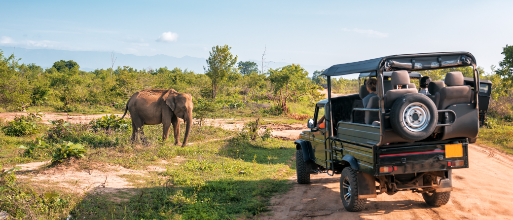 A safari truck has pulled up to observe a lone elephant standing in a clearing.