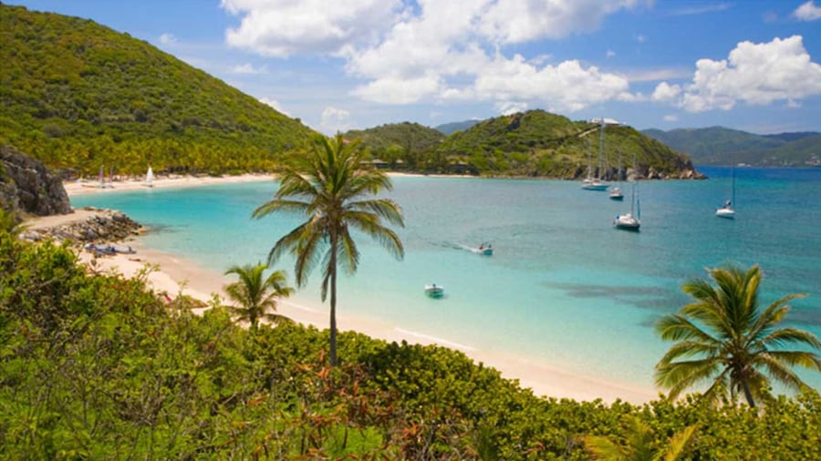 beach with blue waters and palm trees