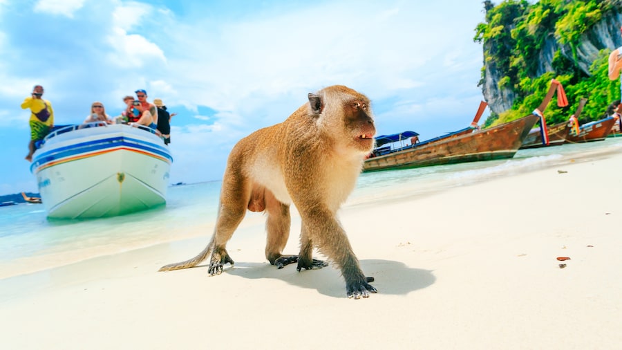 local travel beach