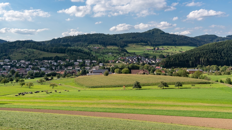Familienurlaub im Schwarzwald