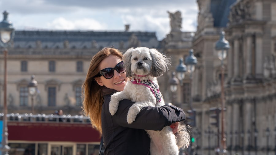 Vacances animaux acceptés en France