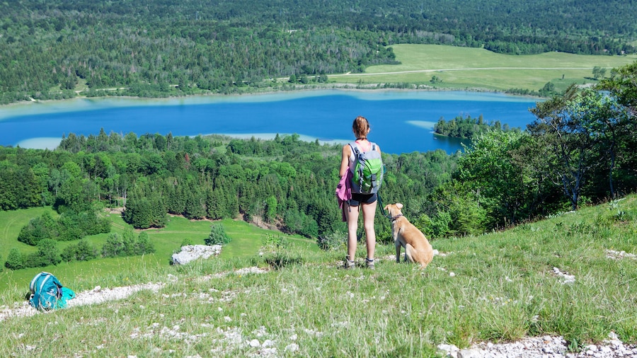 Vacances animaux acceptés dans le Jura