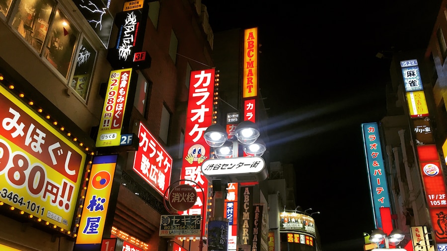 An image of manuel antonio