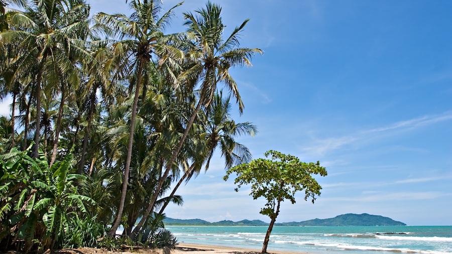 An image of kingston