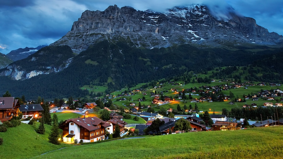 An image of grindelwald