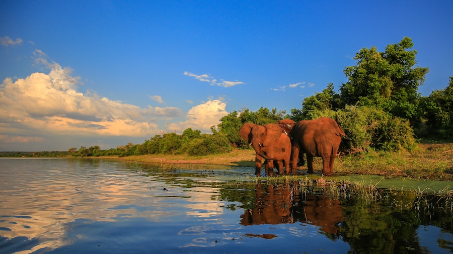 An image of kruger national park