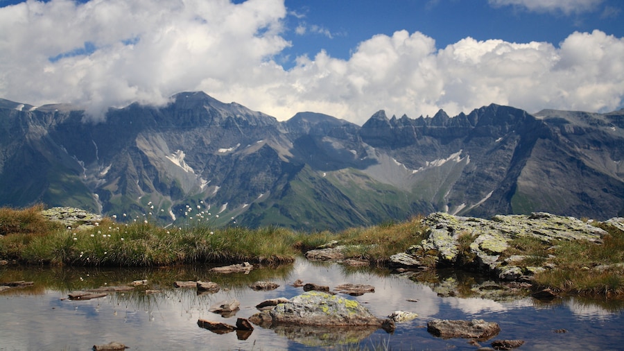 An image of swiss alps