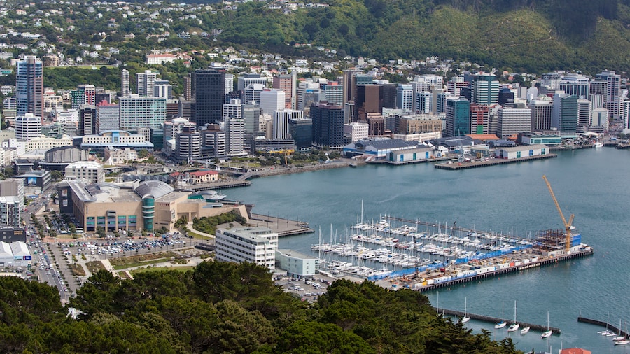 An image of wellington