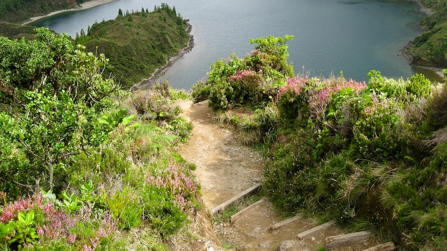 An image of azores