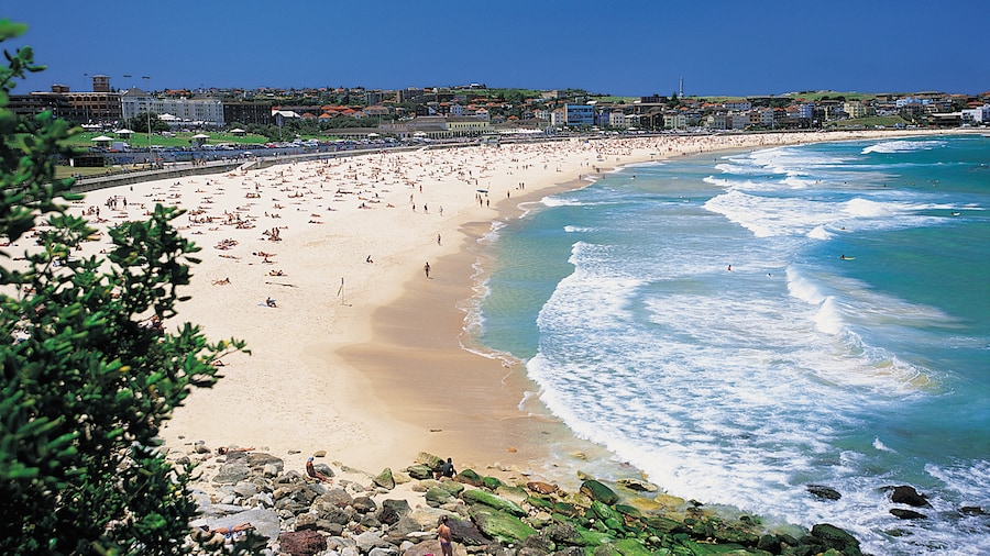 An image of bondi beach