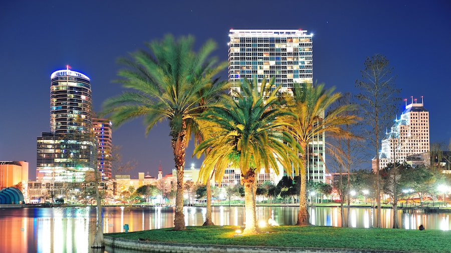 An image of orlando