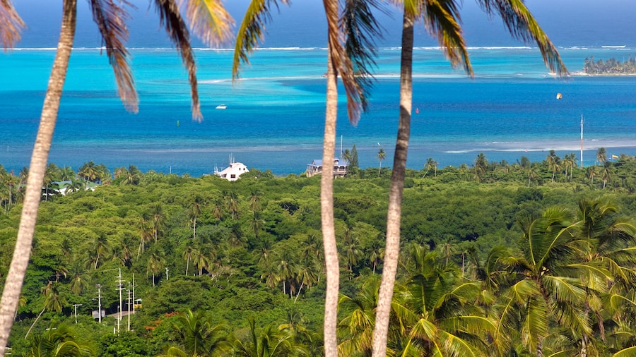 An image of san andres