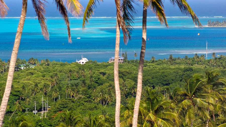 An image of san andres