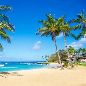 hawaii vacation packages