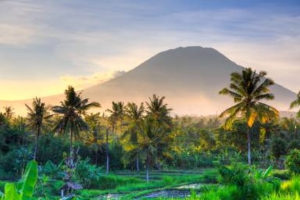 Cheap international flights