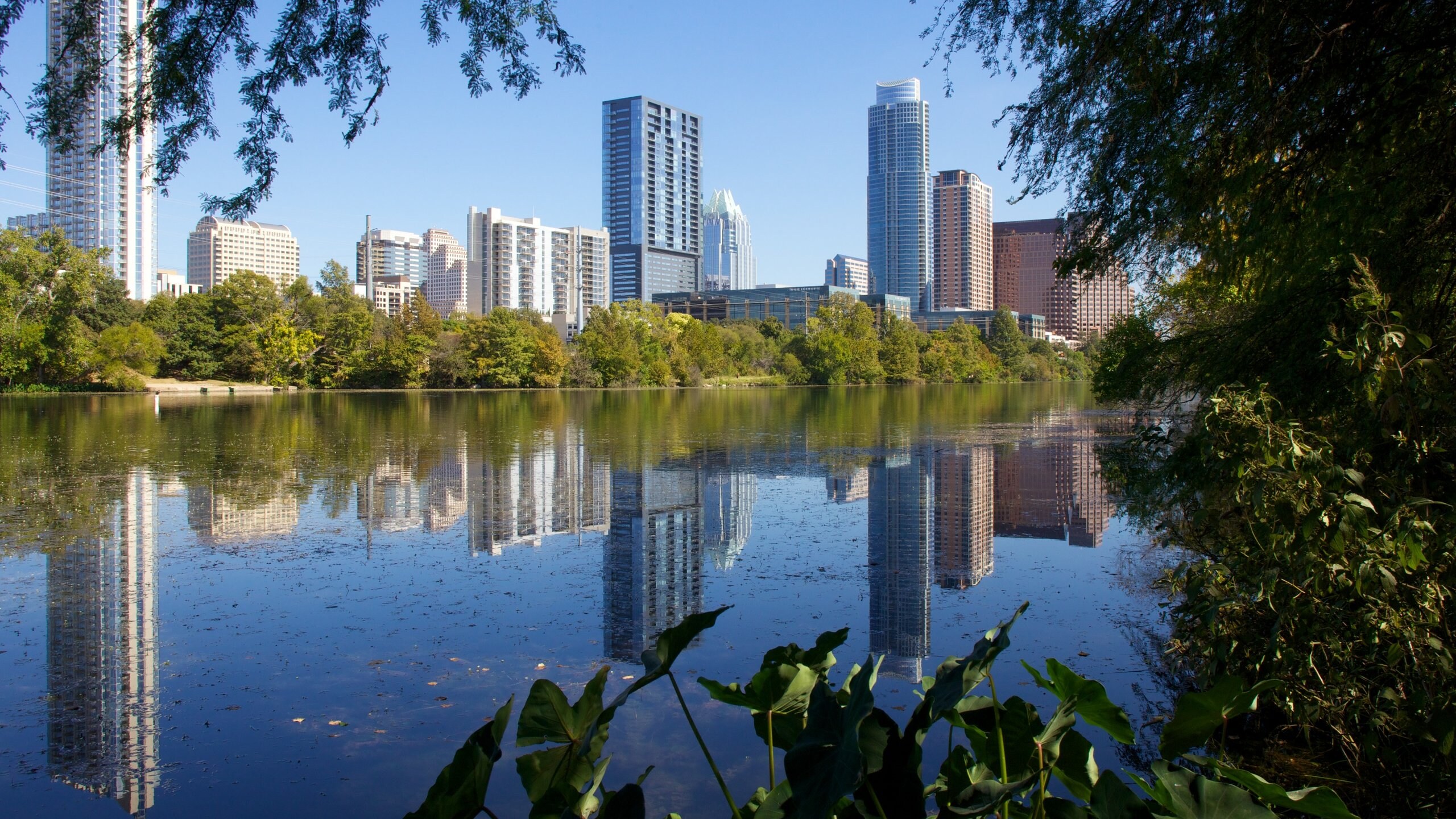Austin Vacation Rentals