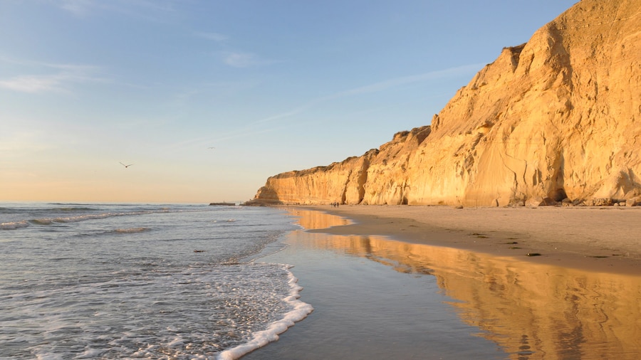 San Diego Vacation Rentals