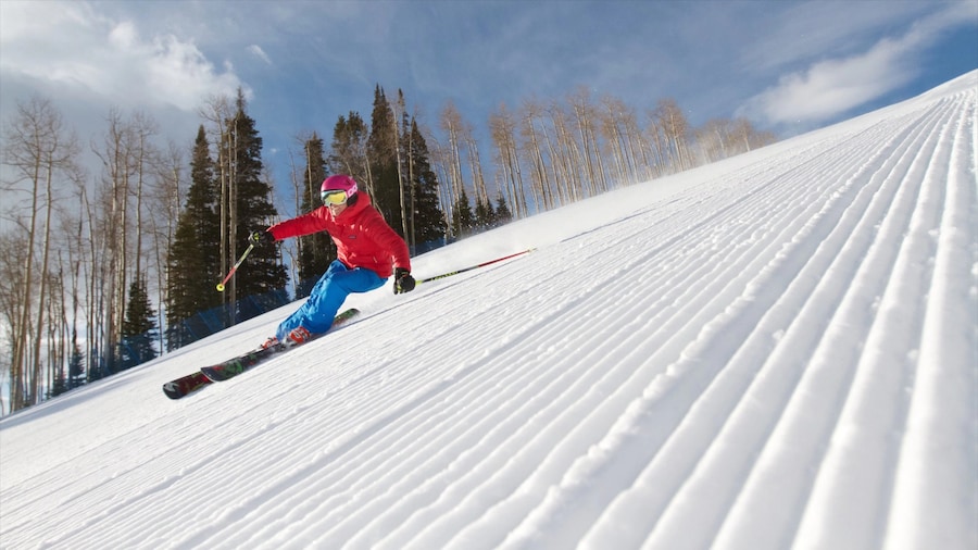 Aspen Vacation Rentals
