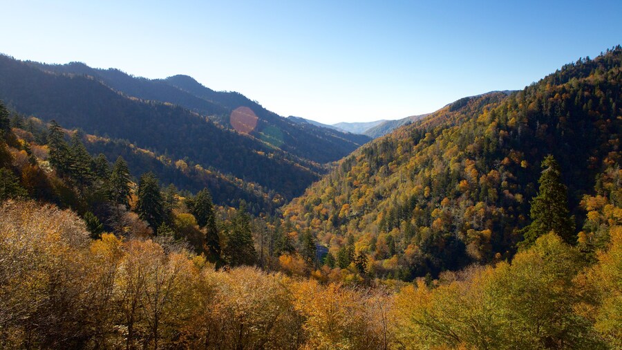 Blue Ridge Mountains Vacation Rentals