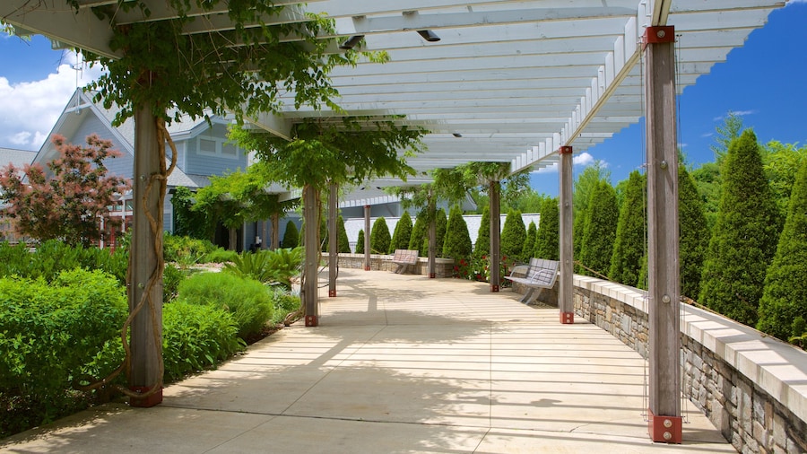 Asheville Vacation Rentals