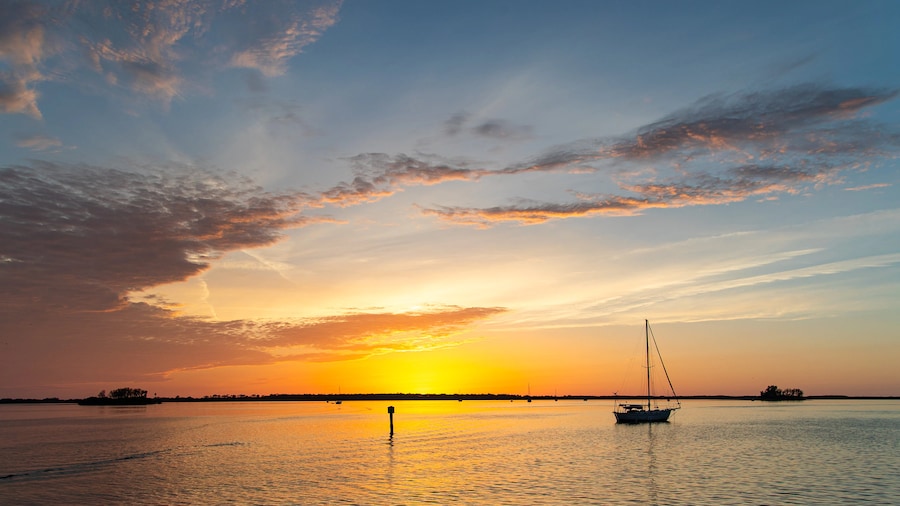 Tampa Vacation Rentals